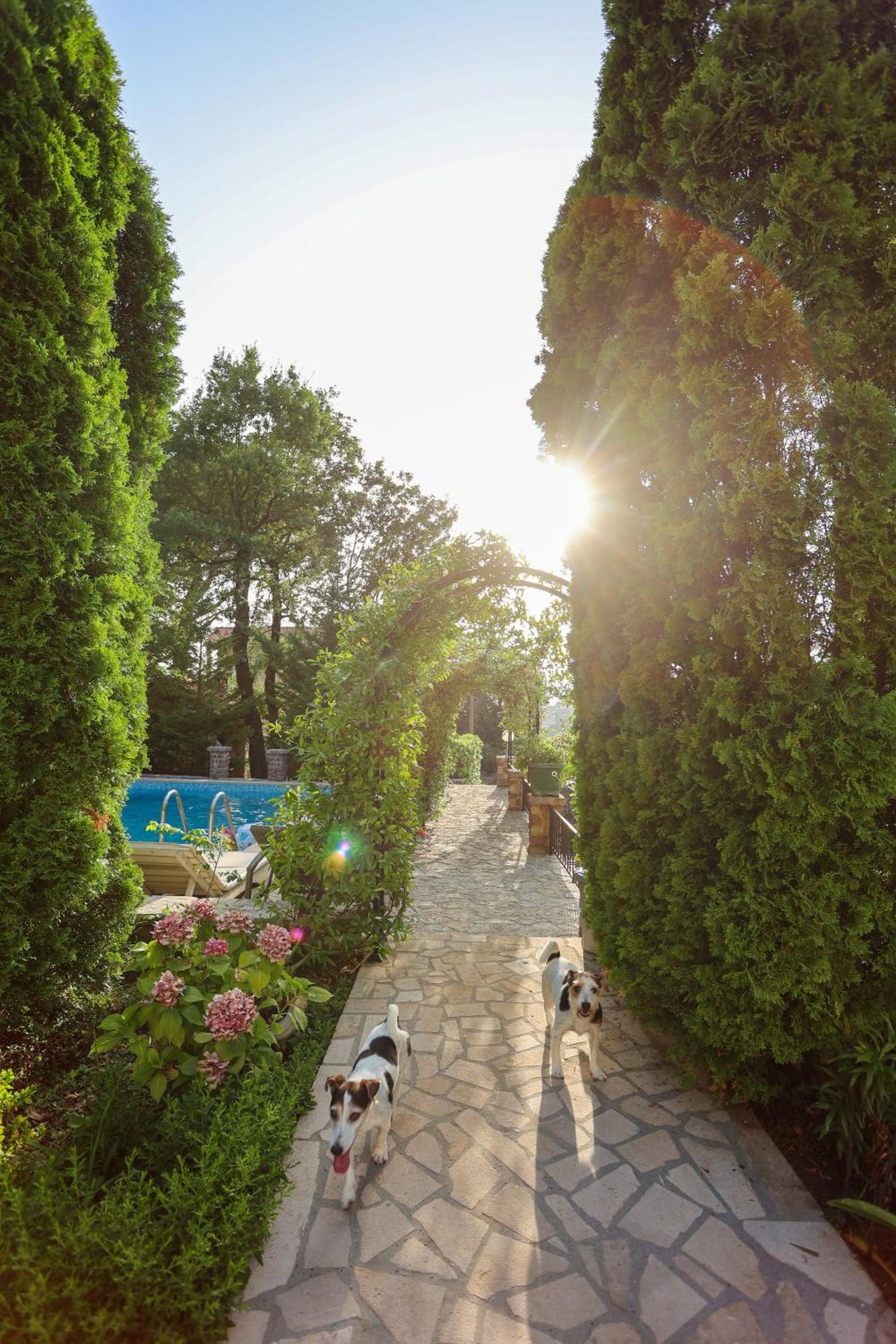 Villa Besha Herceg Novi Exterior photo